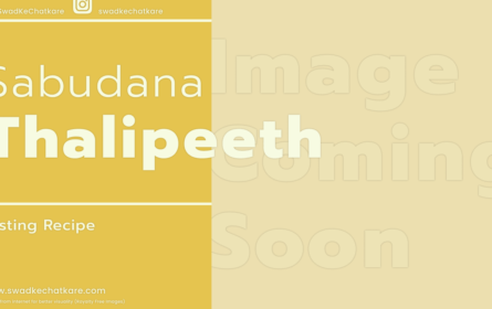 Sabudana Thalipeeth